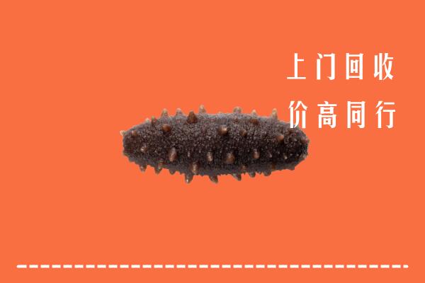 高价求购：费市回收海参