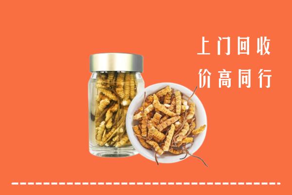 费市回收冬虫夏草